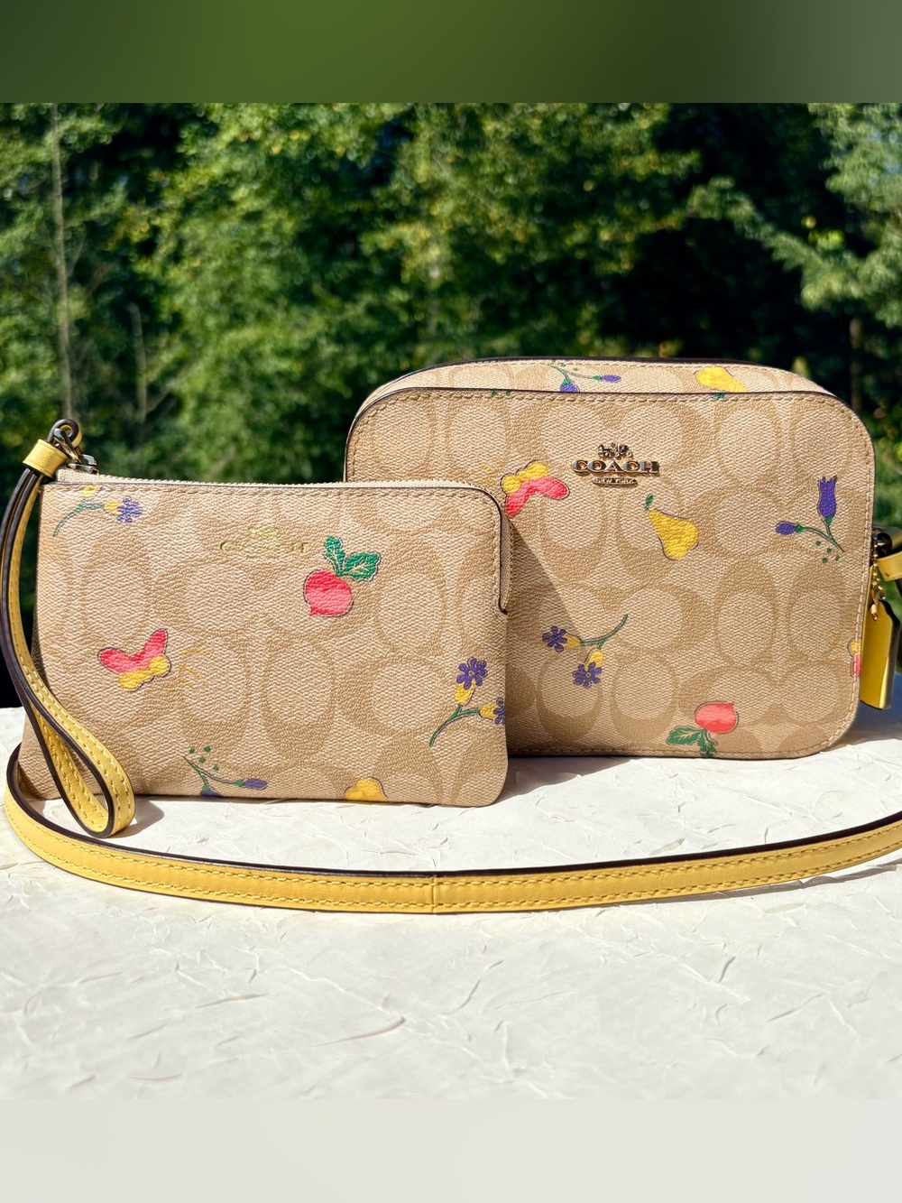 COACH Camera Bag In Signature Canvas With Dreamy Veggie Print With Wallet C8752